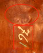 Autre vue d'un détail du dessous du vase