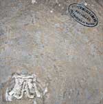 Vue d'ub détail du dessous du vase