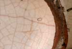 Marque d'une croix en creux