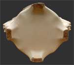 Vue du dessous du vase, pas de marque de fabrique