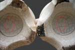 Vue du dessous des deux vases où se trouve une croix gravée