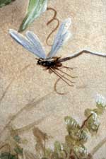 Détail du décor de la gourde de gauche